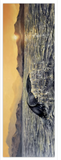 Bookmarks