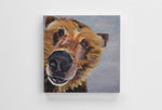 Bear Puppy 12X12 Canvas Print Britni Siekaniec Art
