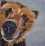 Bear Puppy 8X8 Art Print Britni Siekaniec Art