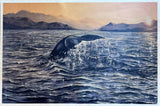 Whale's Tale ~ Prints